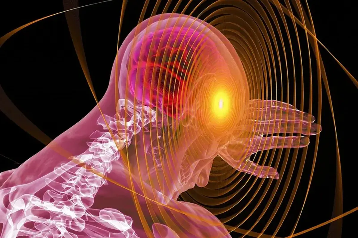 Tiny brain differences that help explain psychopathy 3 Neurobiologists have discovered tiny features in the brains of psychopaths.
