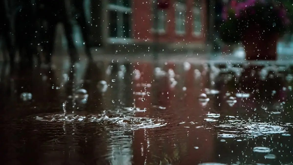 A New 'Forever' Acid Is Falling From the Sky — and It's Almost Impossible to Remove 4 Rain on asphalt