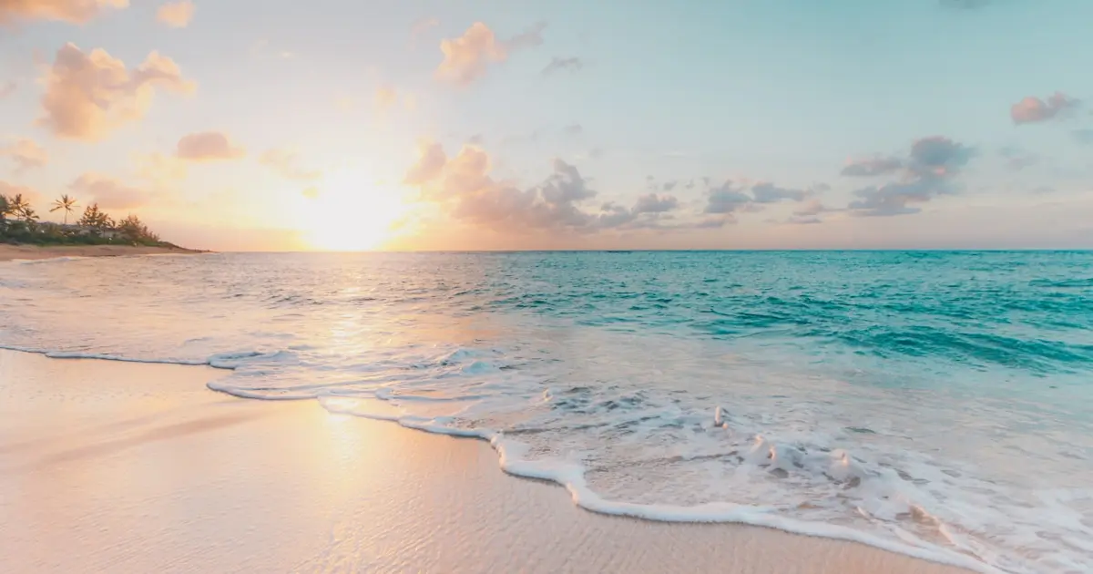 Seashore during the golden hour