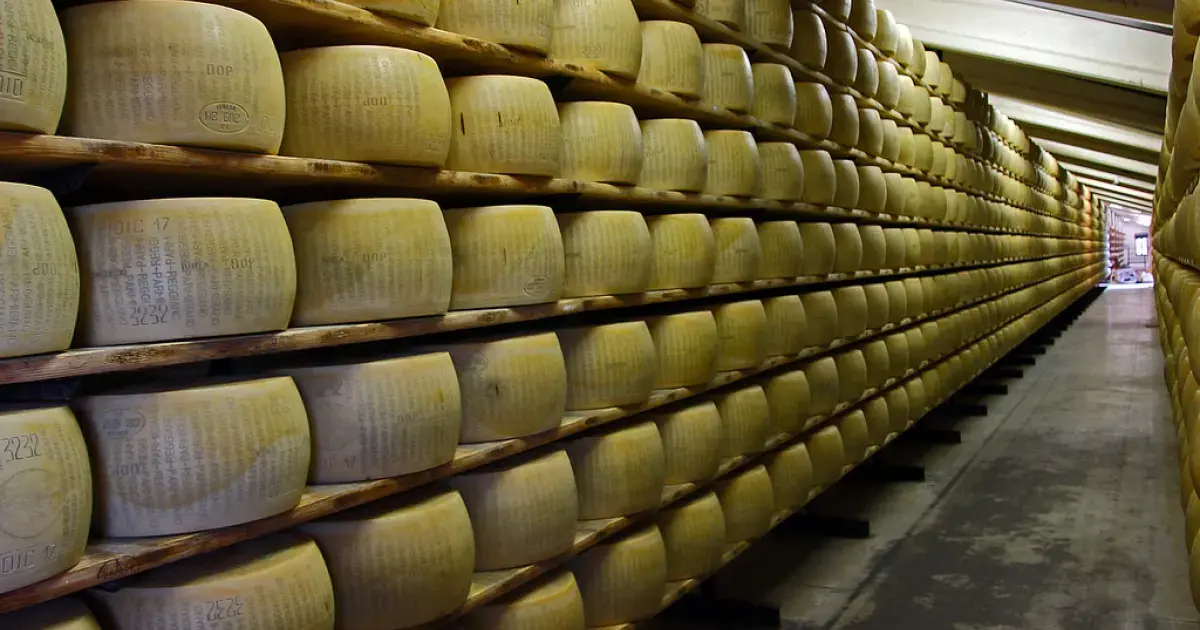 Parmesan on the shelves