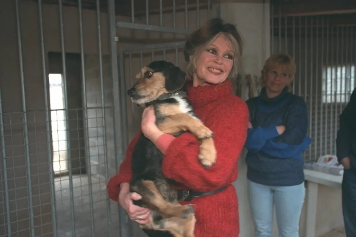 Brigitte Bardot at an animal shelter