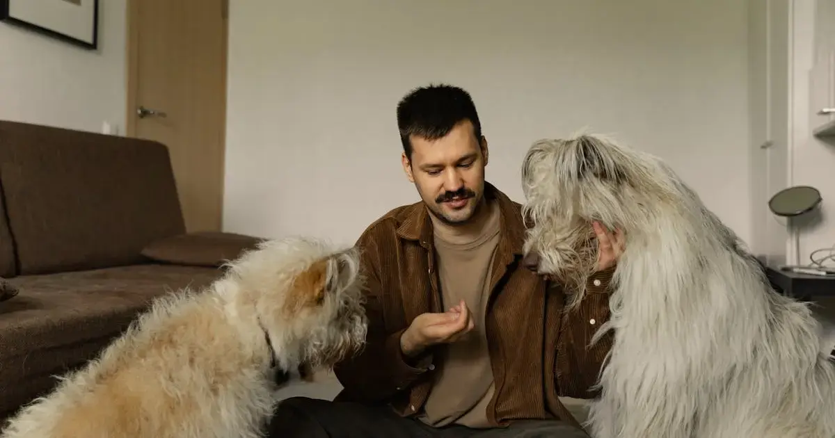 a man with two dogs