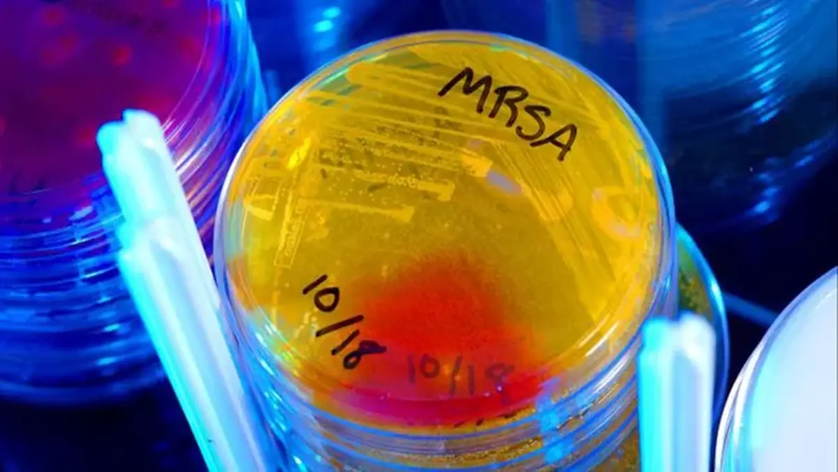 Chemists have discovered a highly effective antibiotic that treats particularly insidious infections.