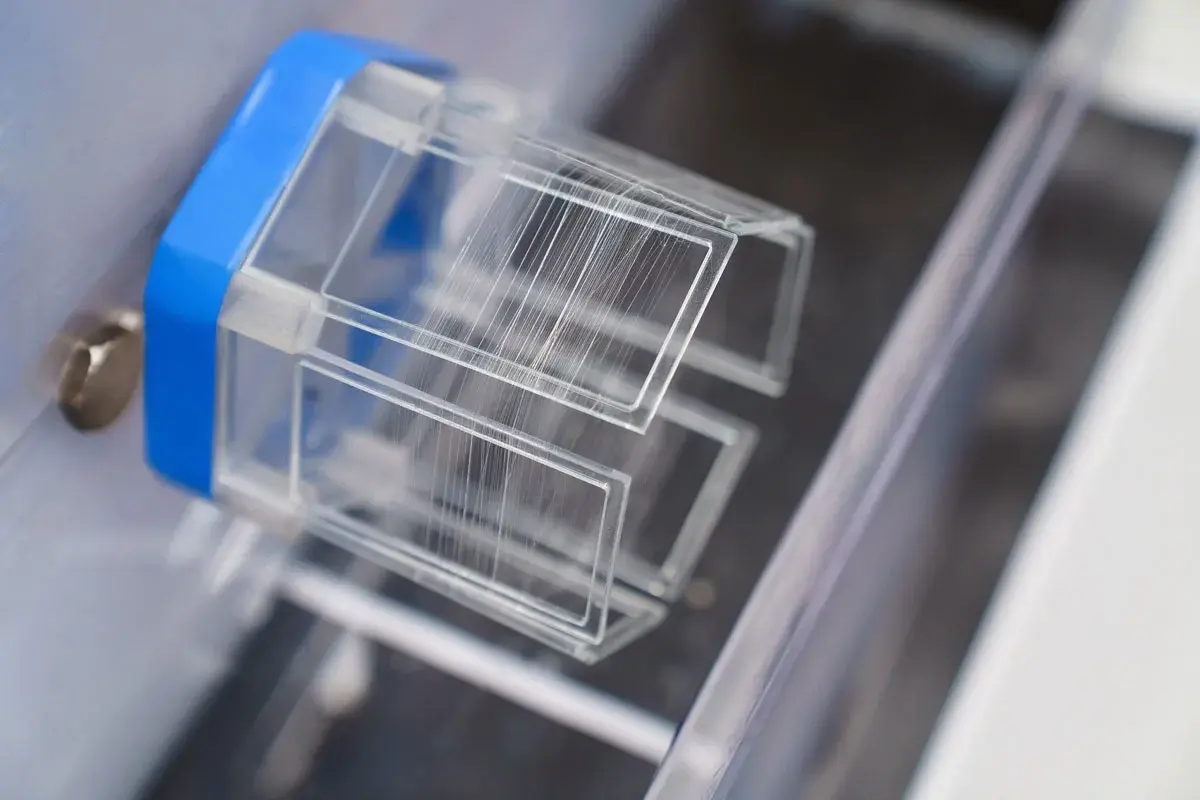 5 Unusual but Practical Inventions That Could Reshape Everyday Life 4 Spider Silk That Heals