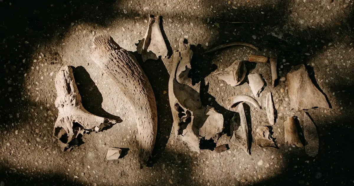 stone tools
