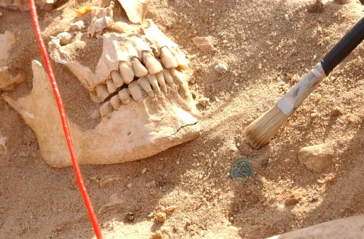 DNA from a mass grave shows infections helped wipe out Napoleon’s 1812 army 4 Genetic analysis of Napoleon's soldiers' teeth