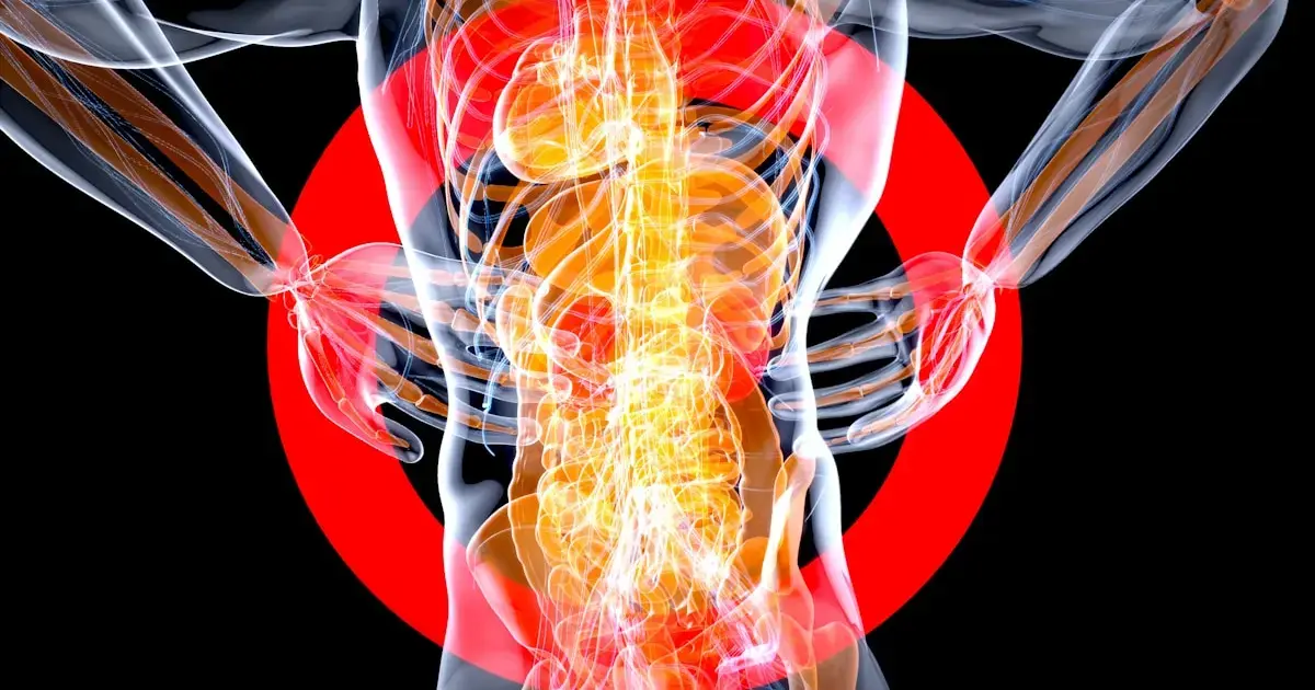 My Back Hurts — Here’s Why and What Actually Helps 7 Image of the spine