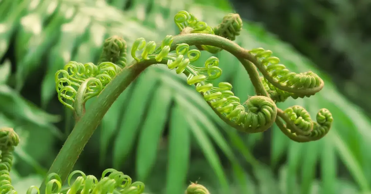 Scientists have discovered that rare-earth element crystals form in a plant.
