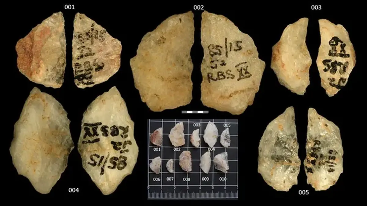 60,000-Year-Old Poisoned Arrows Found in South African Cave 4 Poisoned arrowheads