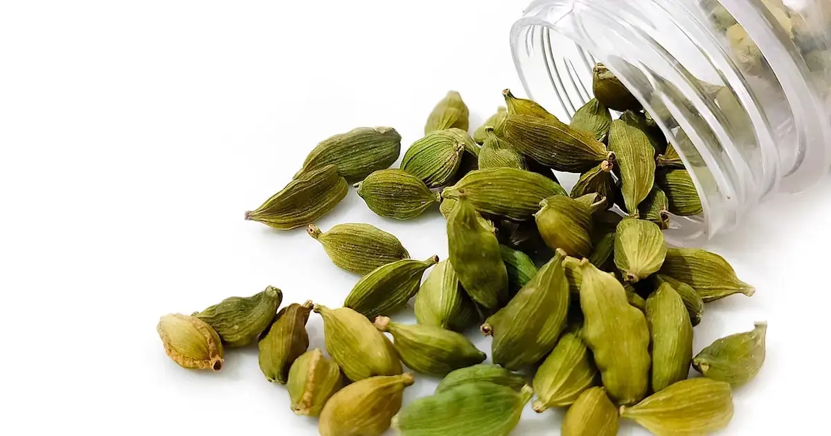 Make Your Food Smell Like a Pine Forest: Herbs That Add a Christmas-Tree Scent 12 Cardamom