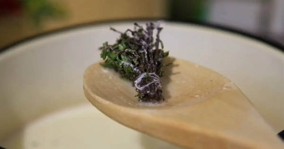 Make Your Food Smell Like a Pine Forest: Herbs That Add a Christmas-Tree Scent 5 Thyme
