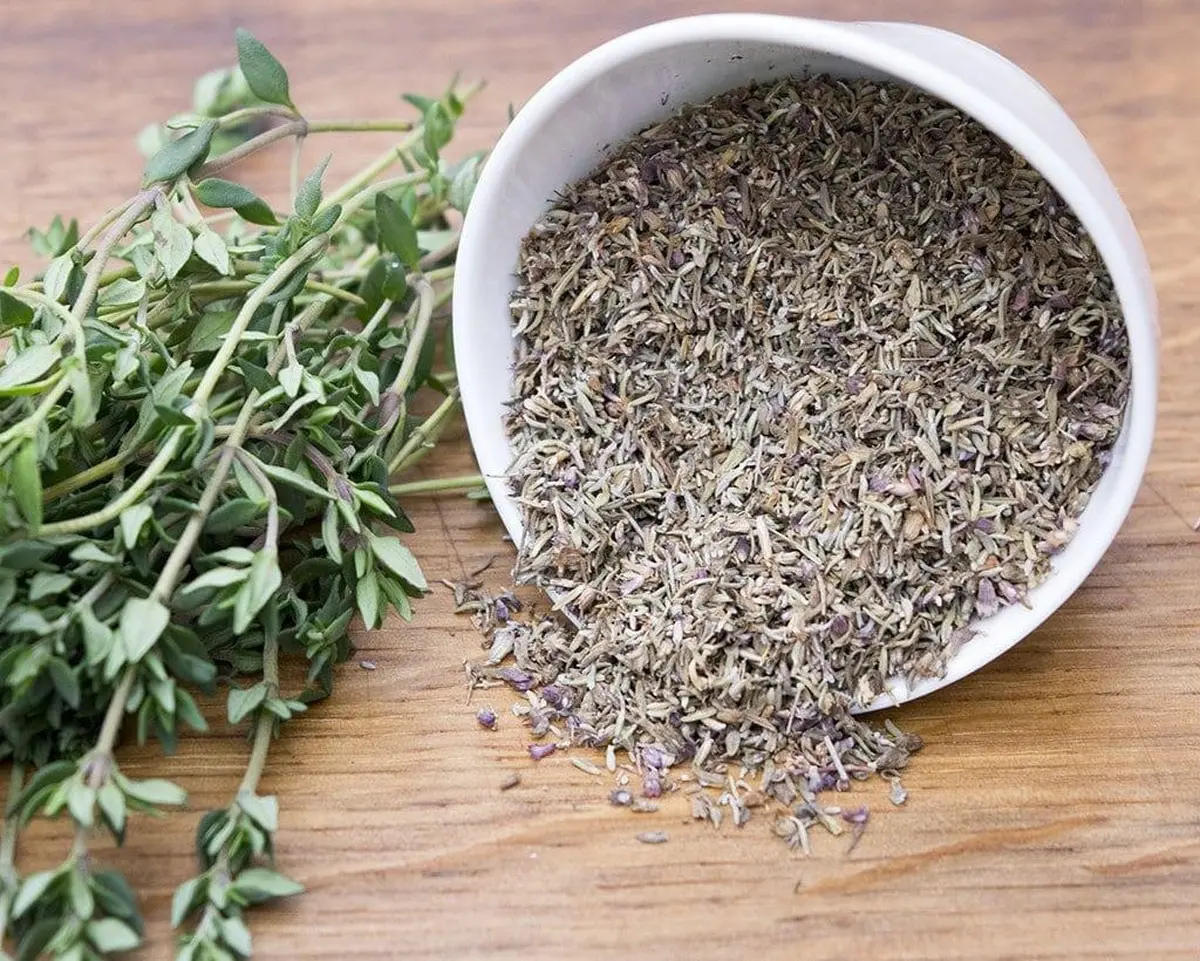 Make Your Food Smell Like a Pine Forest: Herbs That Add a Christmas-Tree Scent 6 savory