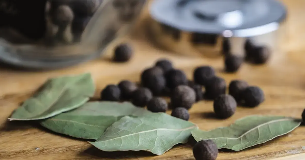 Make Your Food Smell Like a Pine Forest: Herbs That Add a Christmas-Tree Scent 9 Bay leaves
