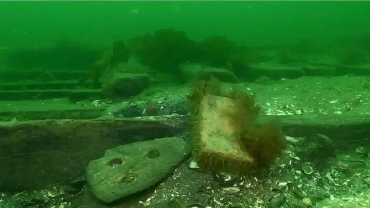 Massive Medieval Cog Found Near Denmark — the Largest Ever Discovered 5 a massive Viking ship