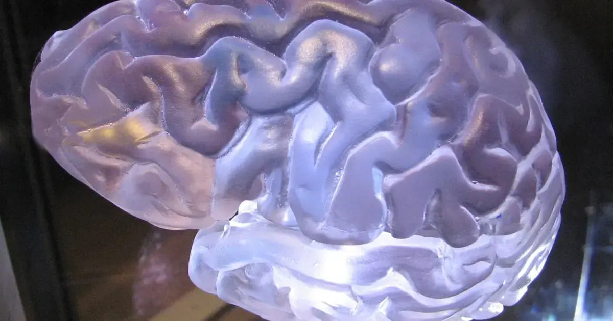 Physical exercise rejuvenates the brain.