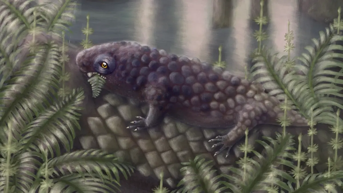 The first vegetarians on the planet: scientists discovered a creature that started eating 'salads' 300 million years ago
