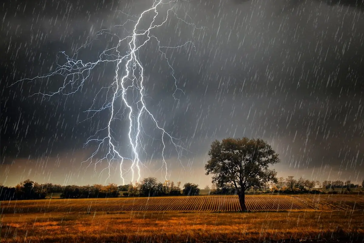 Lightning over a tree