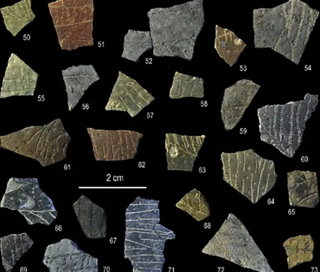 fragments of eggshell with geometric lines