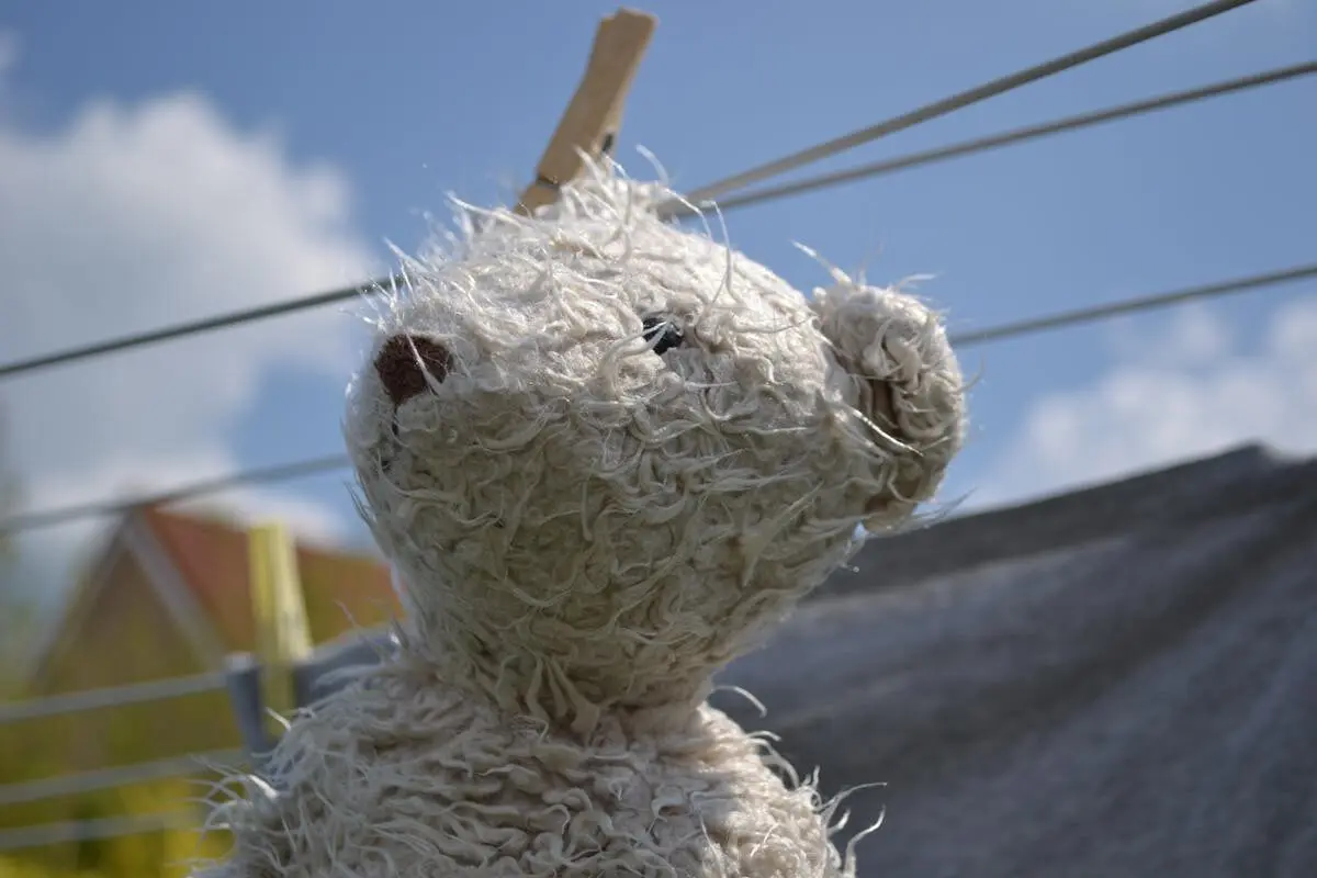 7 Surprising Things You Should Never Put in the Washing Machine 5 Toy drying after being washed.