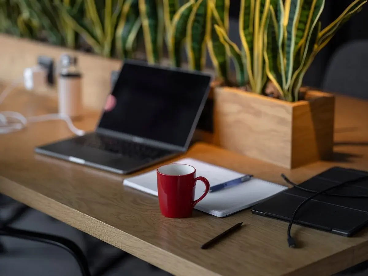 plants on a desk next to a laptop