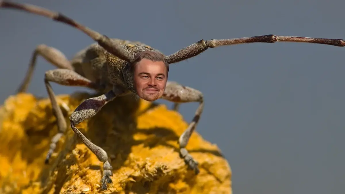 6 Celebrities With Species Named After Them 3 Six famous people who have species named after them
