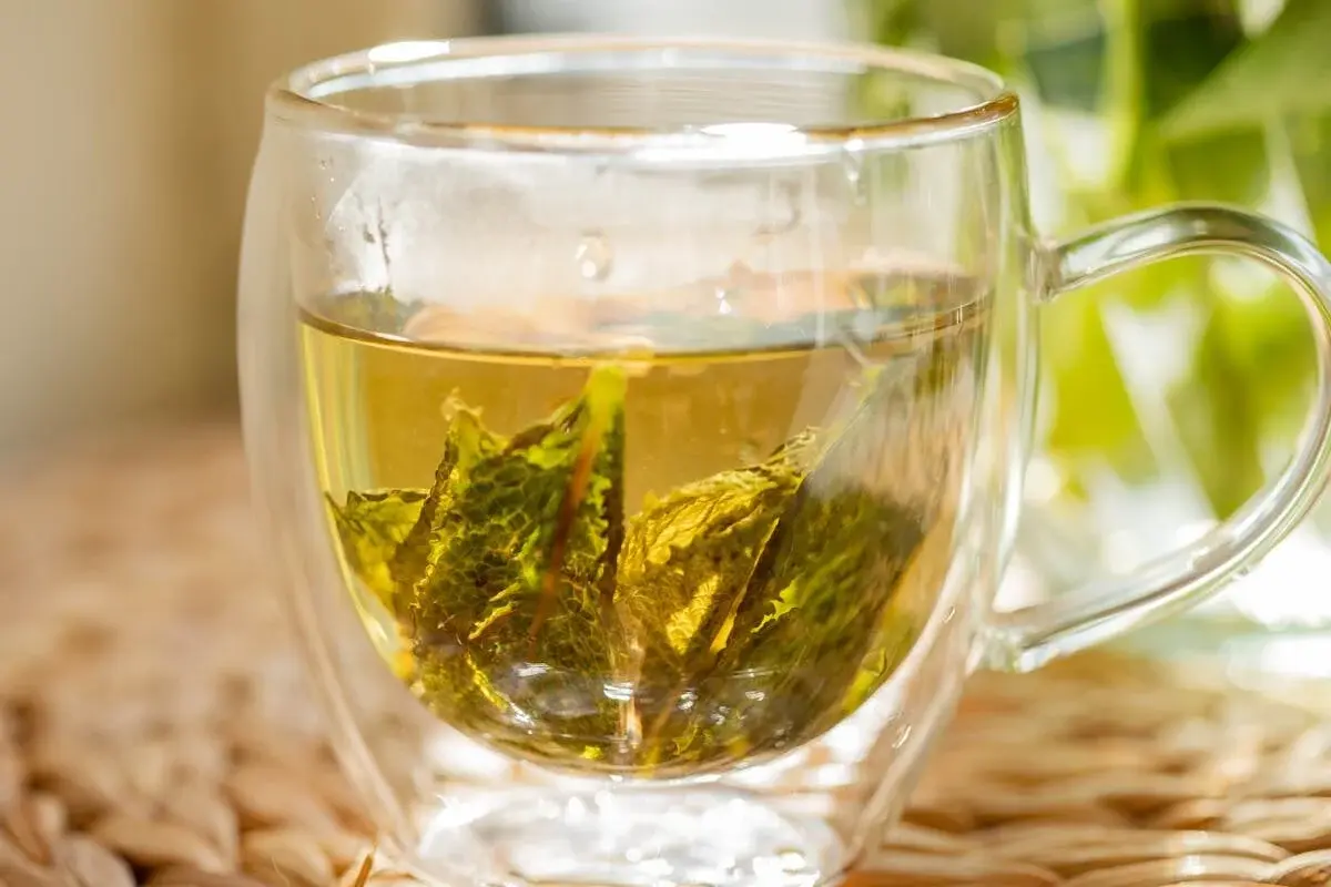 Stinging Nettle for Hair: Rinses, Masks, and DIY Recipes That Work 4 Nettle steeped in a cup