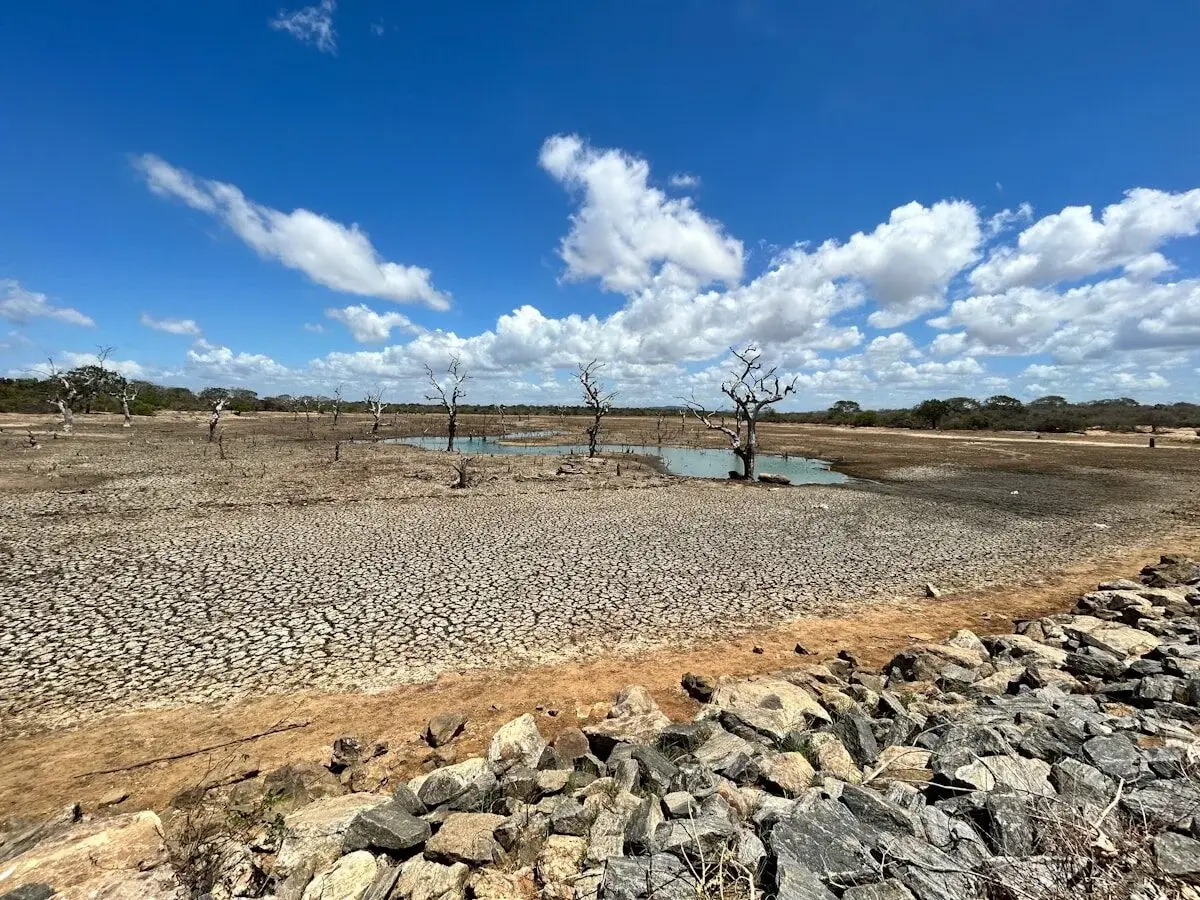 dried-up waterbody