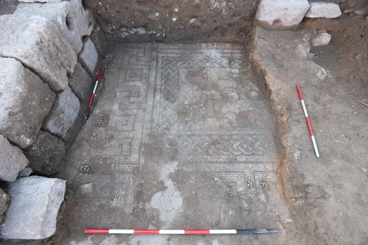 Roman Hunting Mosaic Resurfaces Under Marsala After 50 Years 4 Mosaic floor