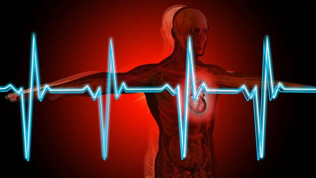 Why cancer almost never affects the heart
