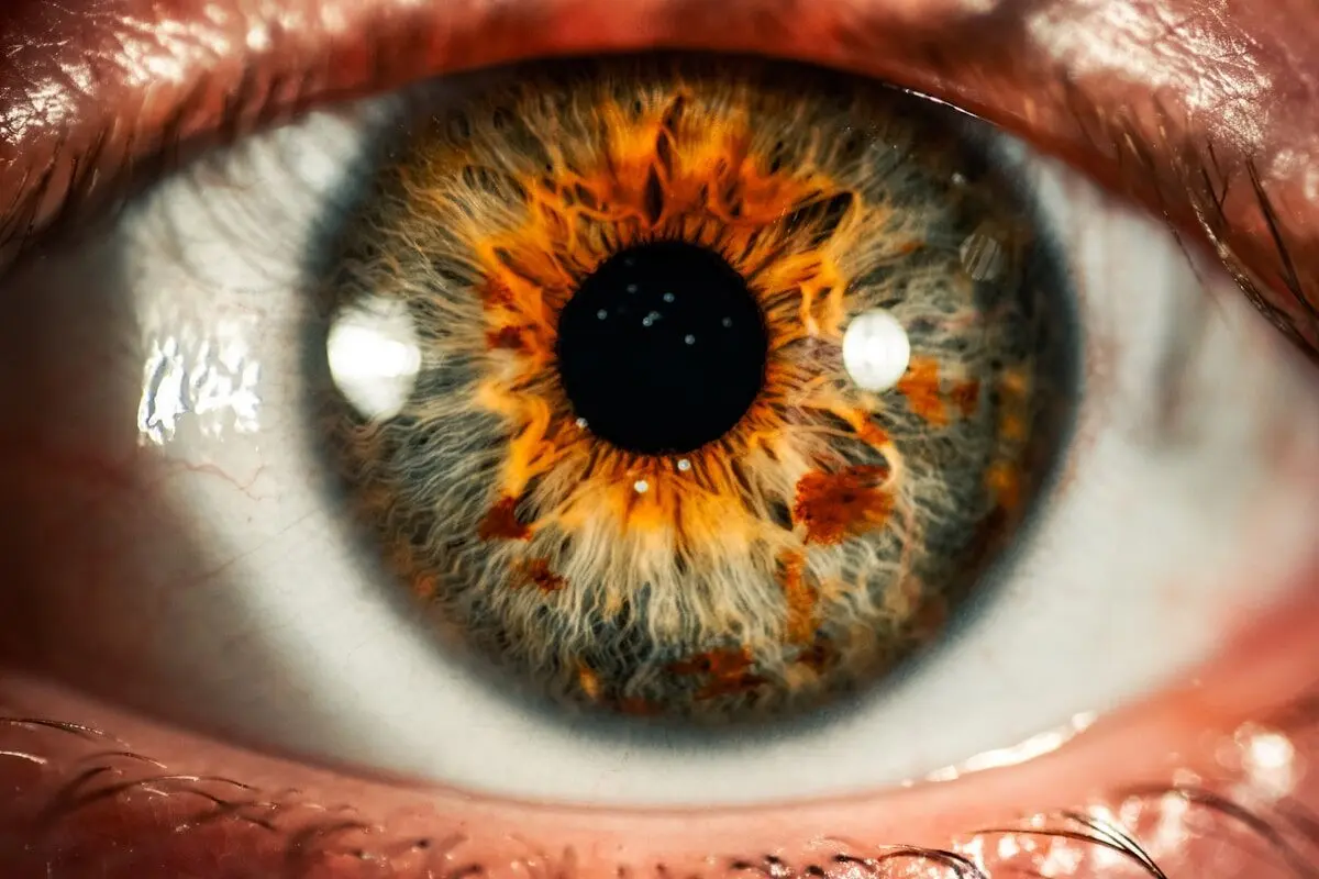 Eyes could reveal osteoporosis risk