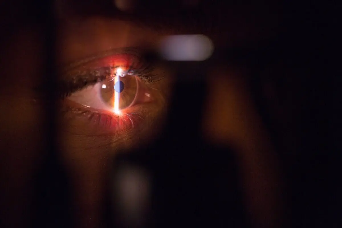 retinal research