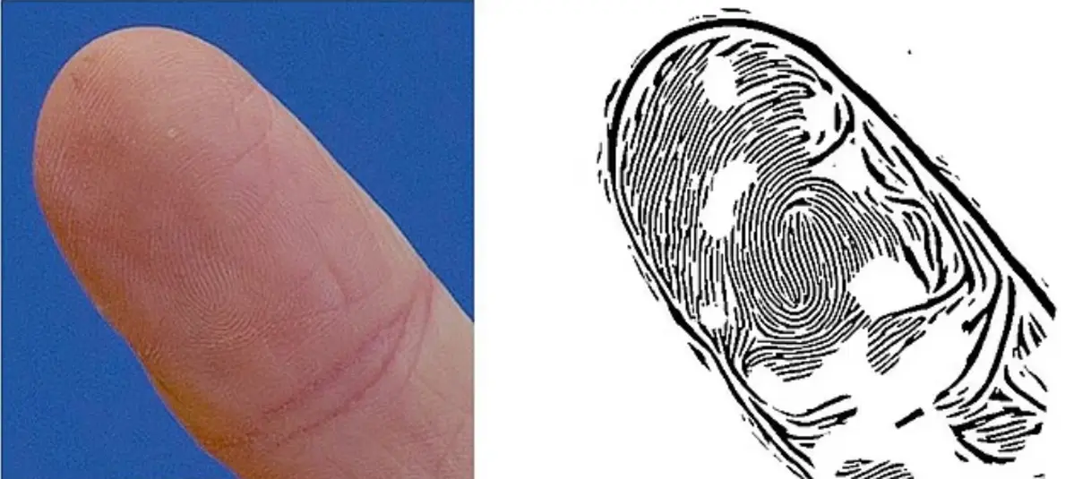 Don't Flash a Peace Sign — Hackers Can Steal Your Fingerprints 4 photo of a finger with visible fingerprints
