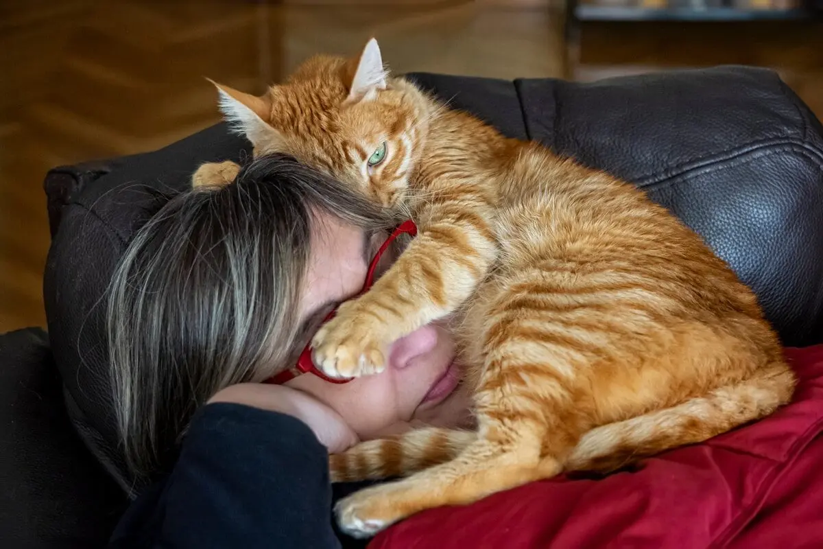 cat lying on a woman's head